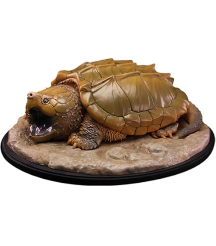 Amazon.co.jp: 動物惑星 ハコガメ フィギュア カメ 亀 10.5CM級 カメ目